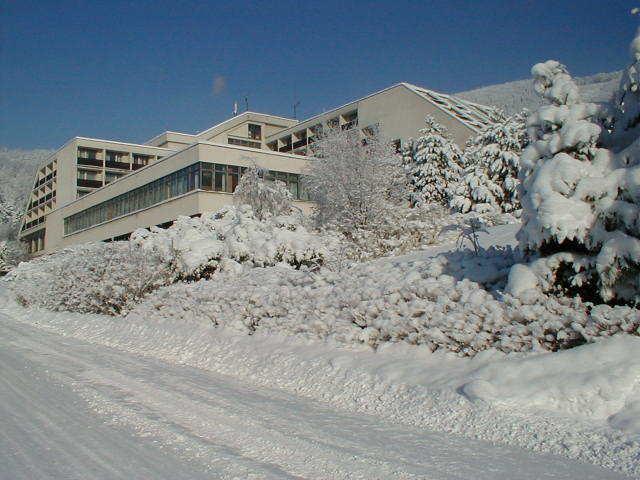 Hotel Petr Bezruc Frýdlant nad Ostravicí Extérieur photo