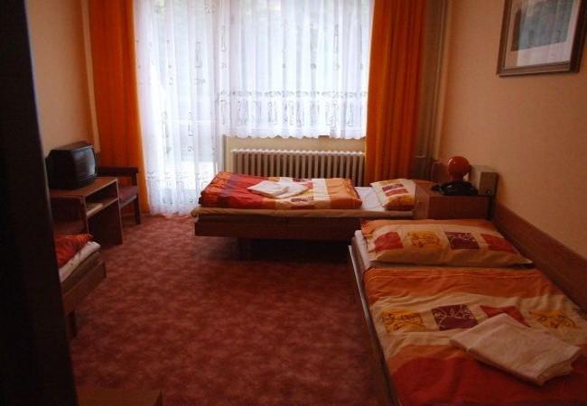 Hotel Petr Bezruc Frýdlant nad Ostravicí Chambre photo